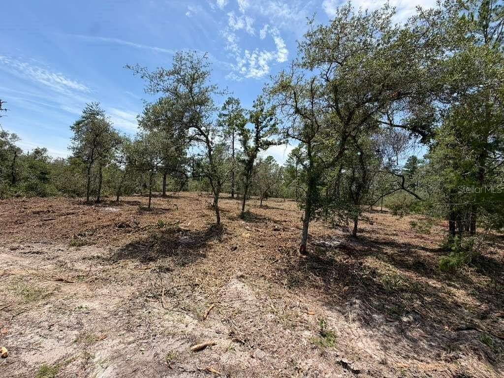 0.53 Acres of Residential Land for Sale in Ocklawaha, Florida