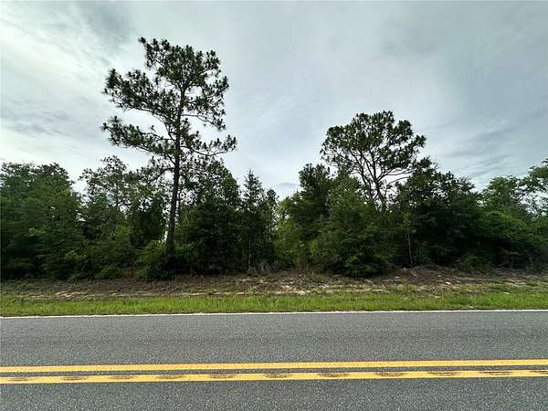1.25 Acres of Residential Land for Sale in Bronson, Florida