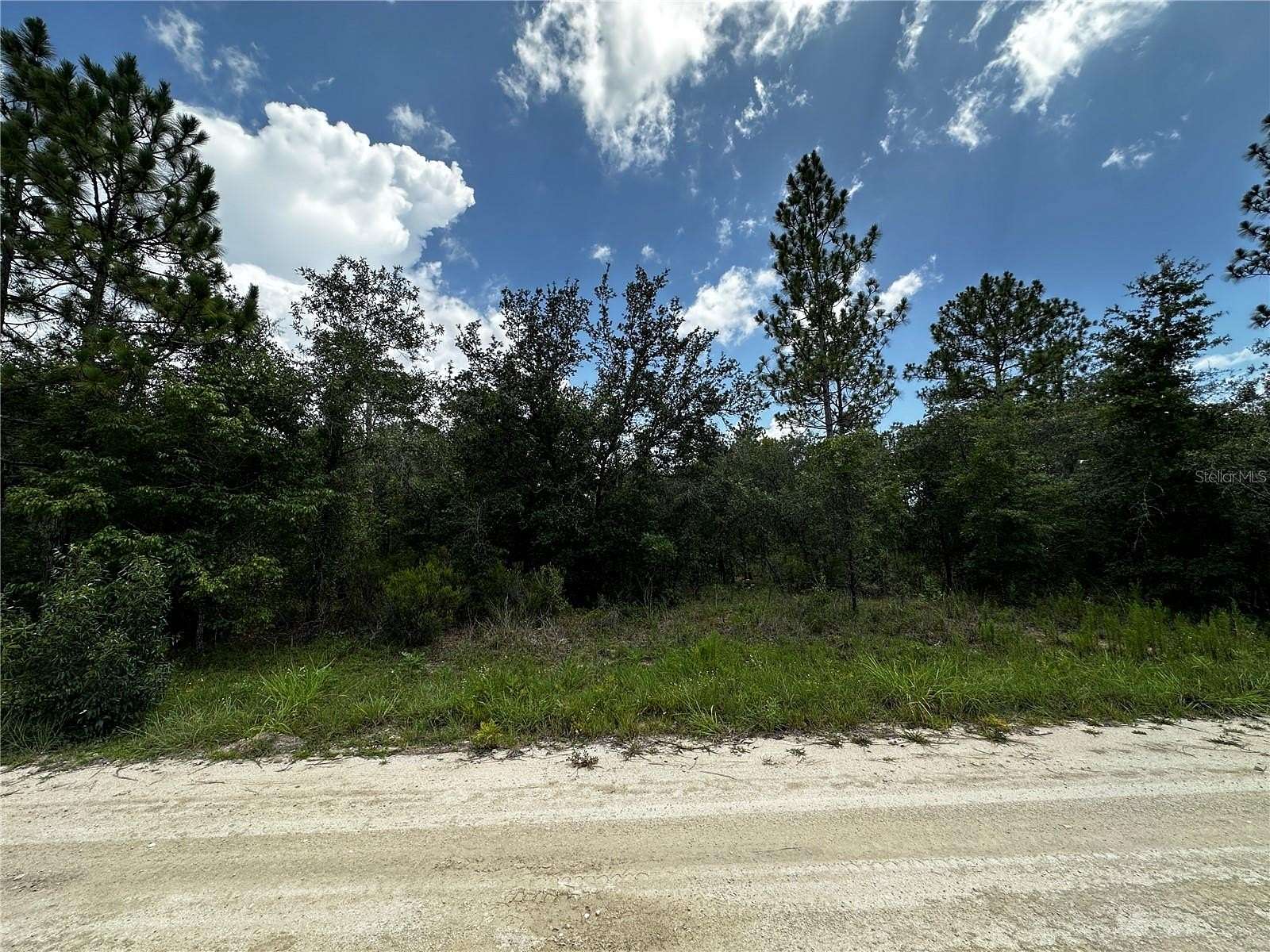 1 Acre of Residential Land for Sale in Williston, Florida