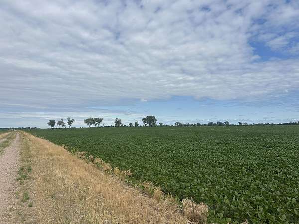 146 Acres of Recreational Land for Sale in Salix, Iowa