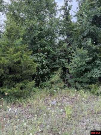 0.1 Acres of Residential Land for Sale in Henderson, Arkansas