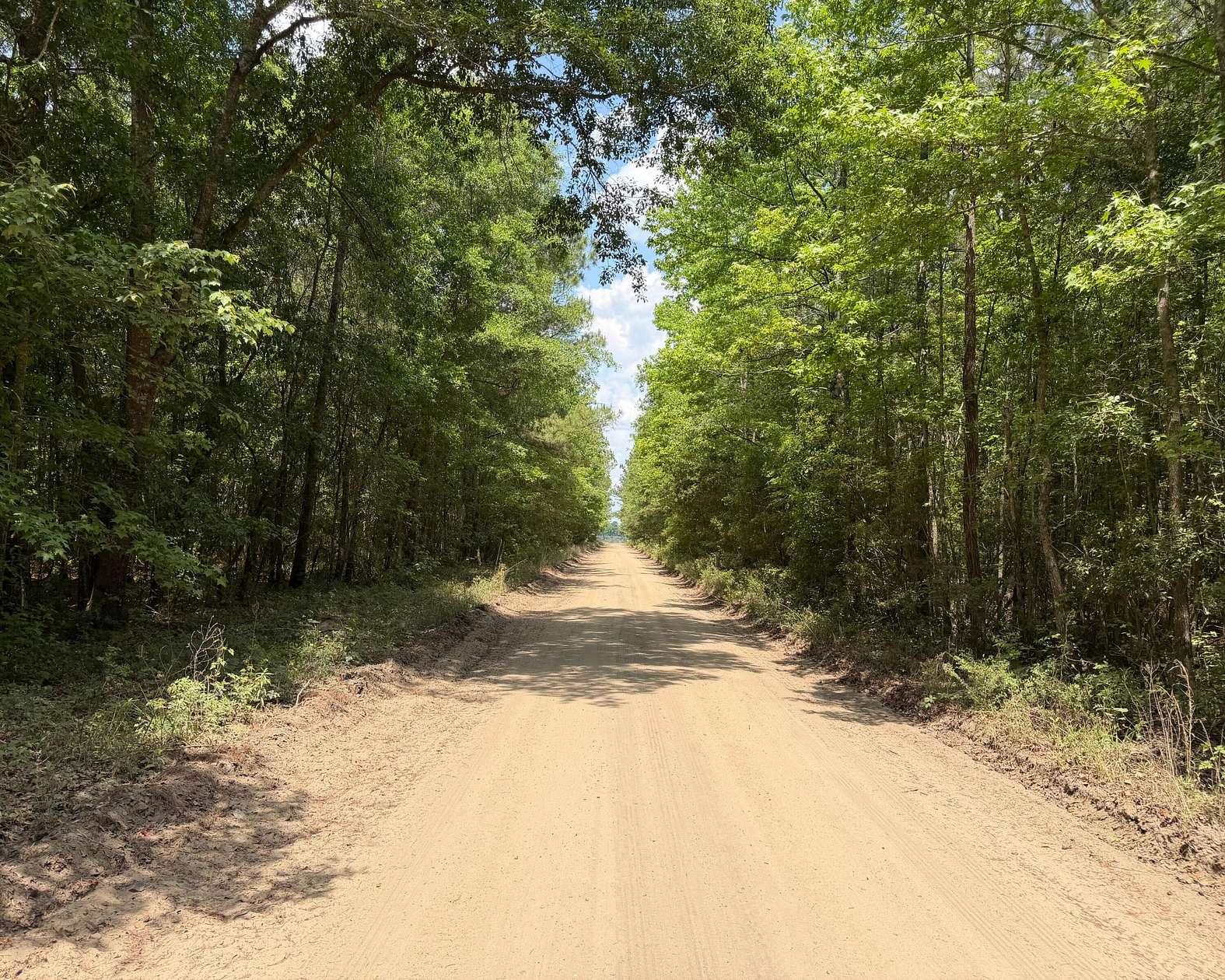 25.7 Acres of Land for Sale in Holly Hill, South Carolina