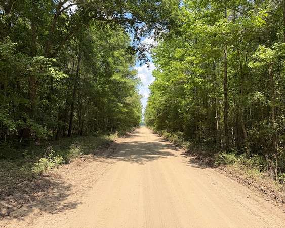 25.7 Acres of Land for Sale in Holly Hill, South Carolina