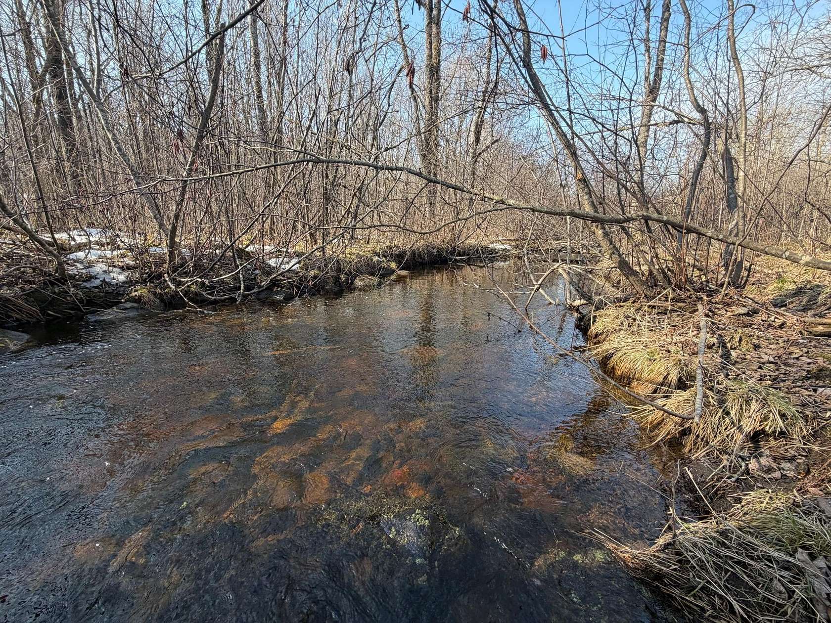 5.3 Acres of Residential Land for Sale in Kennan, Wisconsin