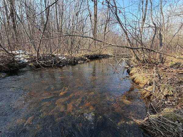 5.3 Acres of Residential Land for Sale in Kennan, Wisconsin