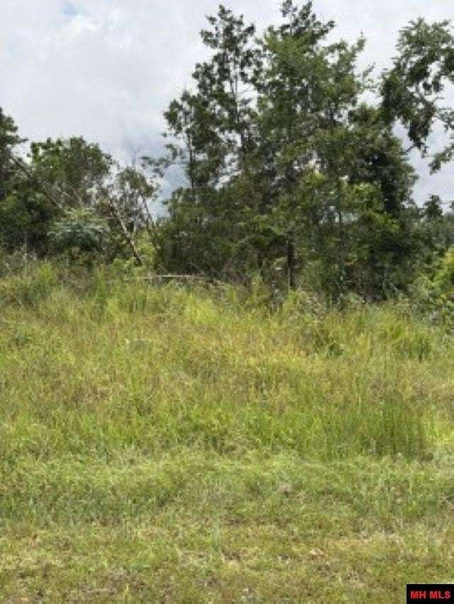 0.1 Acres of Residential Land for Sale in Henderson, Arkansas