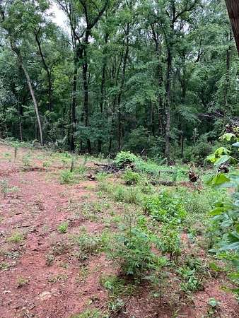 0.3 Acres of Residential Land for Sale in Bullard, Texas