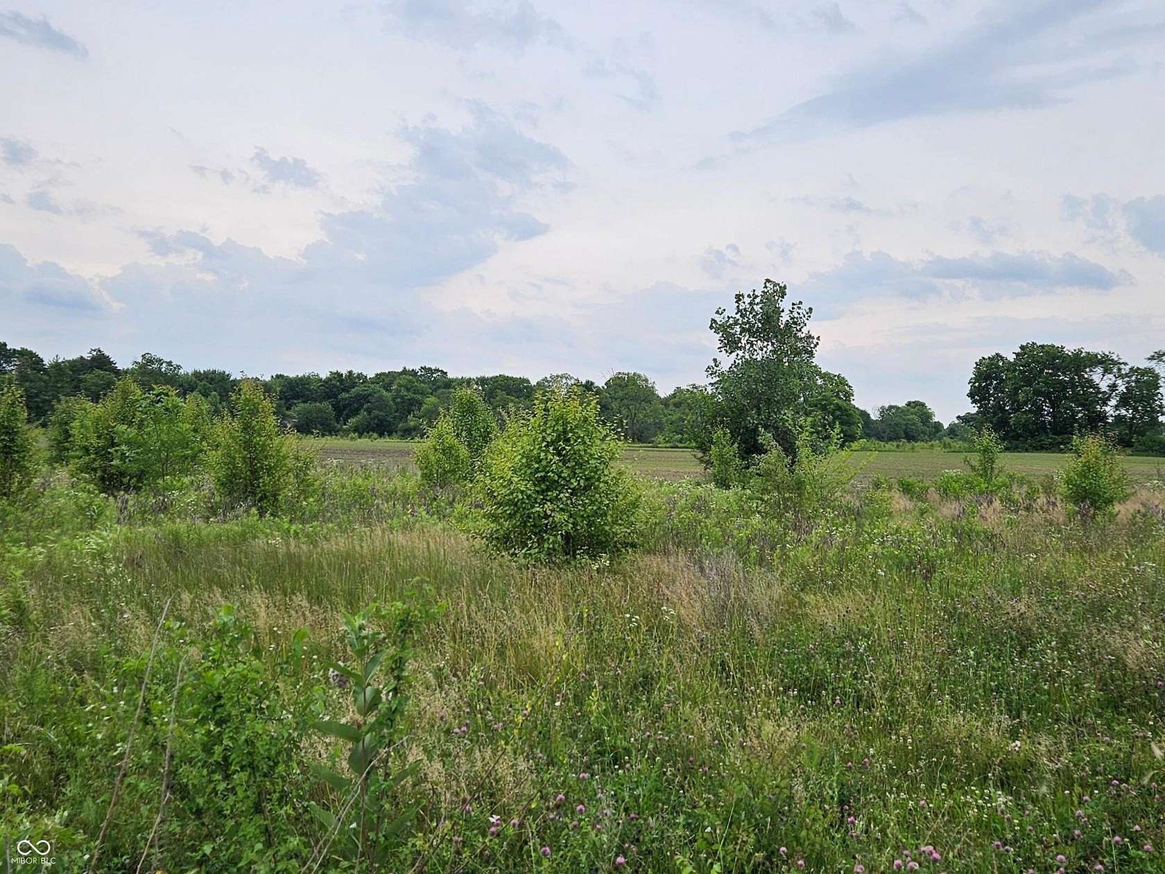 25.3 Acres of Land for Sale in Greenfield, Indiana