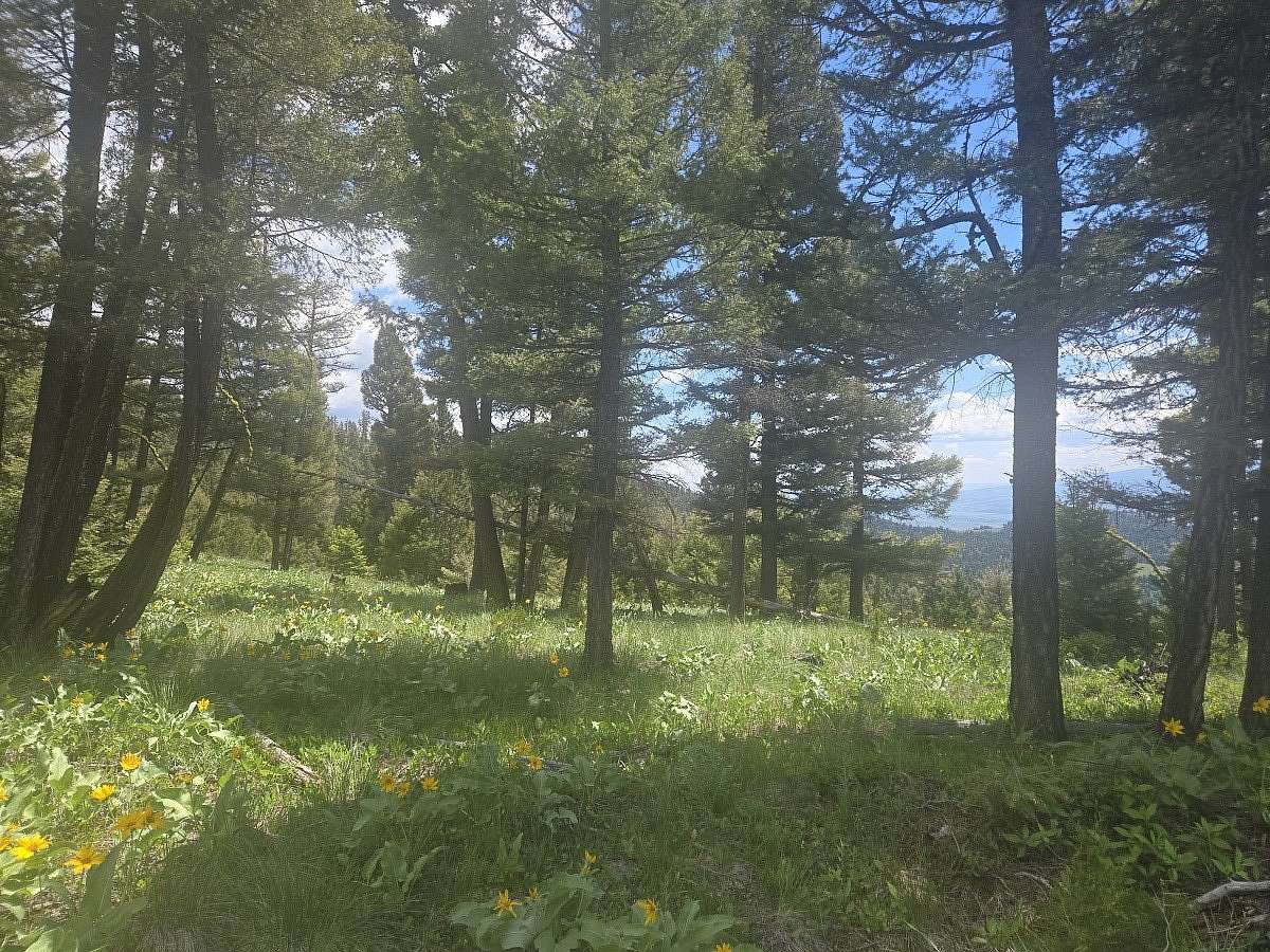 160 Acres of Recreational Land for Sale in Drummond, Montana