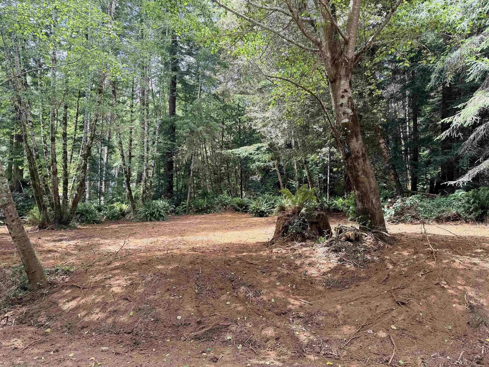 1 Acre of Residential Land for Sale in Crescent City, California