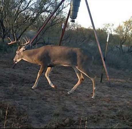 40 Acres of Recreational Land for Sale in Lamesa, Texas