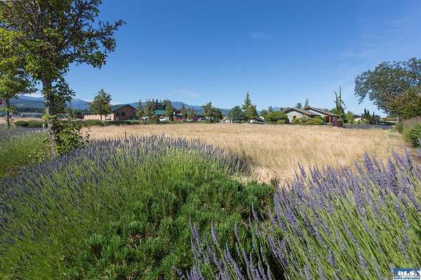 0.3 Acres of Commercial Land for Sale in Sequim, Washington