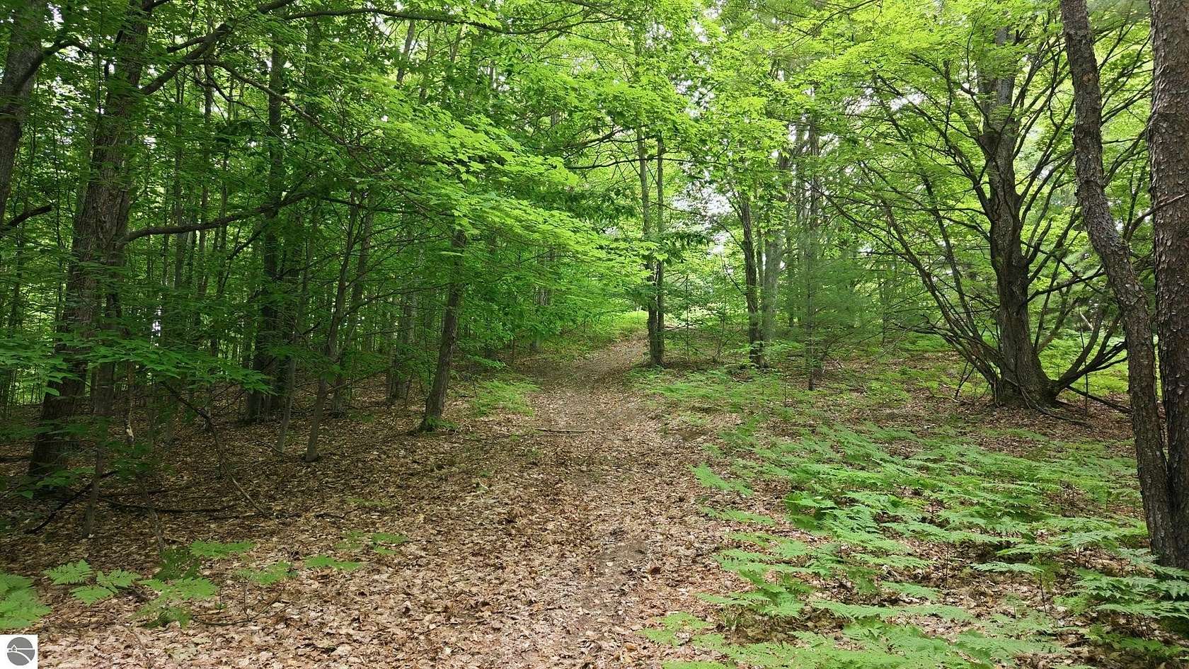 80 Acres of Recreational & Residential Land for Sale in Kalkaska, Michigan