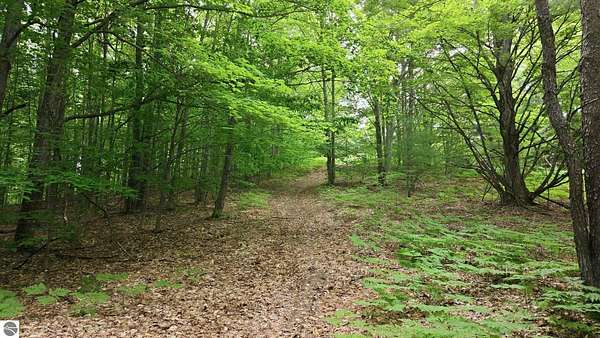 80 Acres of Recreational & Residential Land for Sale in Kalkaska, Michigan