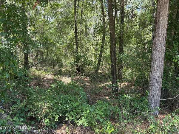 1 Acre of Residential Land for Sale in Pomona Park, Florida