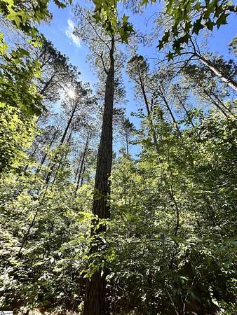 13 Acres of Land for Sale in Anderson, South Carolina