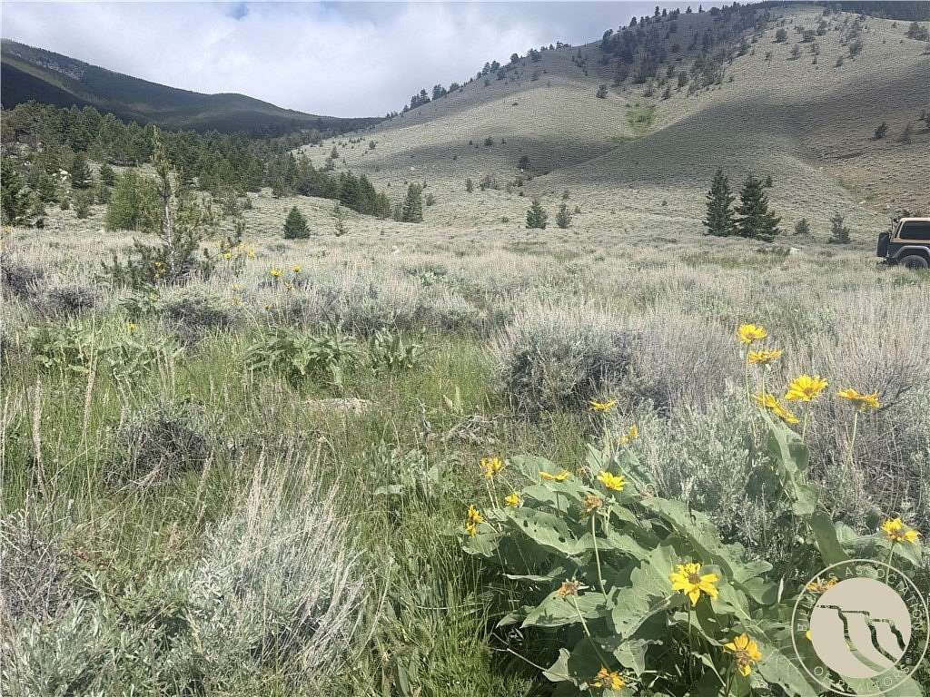 20 Acres of Land for Sale in Red Lodge, Montana