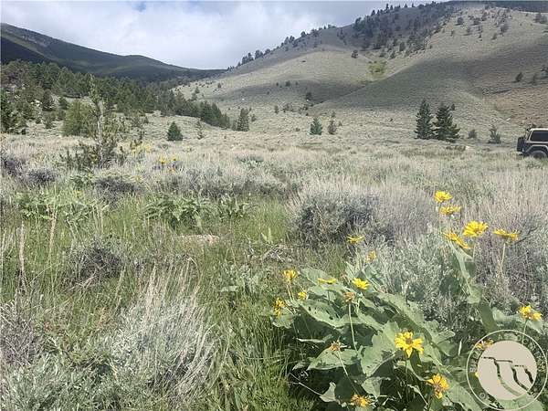20 Acres of Land for Sale in Red Lodge, Montana