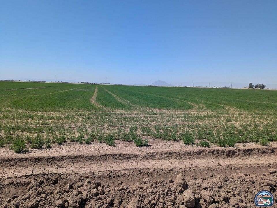 200 Acres of Agricultural Land for Sale in Seeley, California