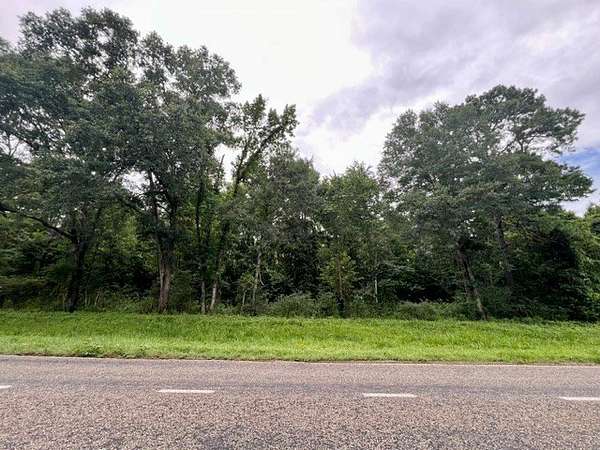 43.8 Acres of Recreational & Residential Land for Sale in Milam, Texas