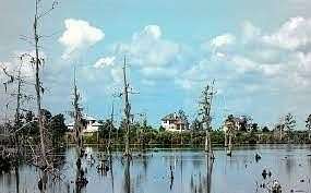 1.2 Acres of Residential Land for Sale in Madisonville, Louisiana