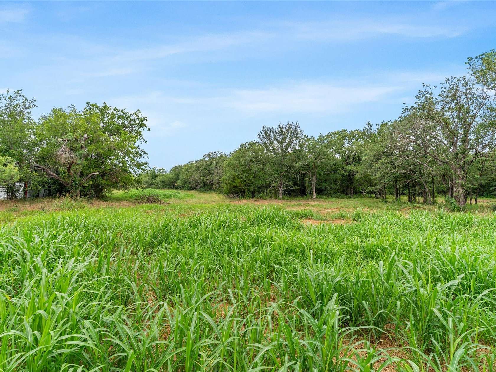 1.22 Acres of Residential Land for Sale in Paradise, Texas
