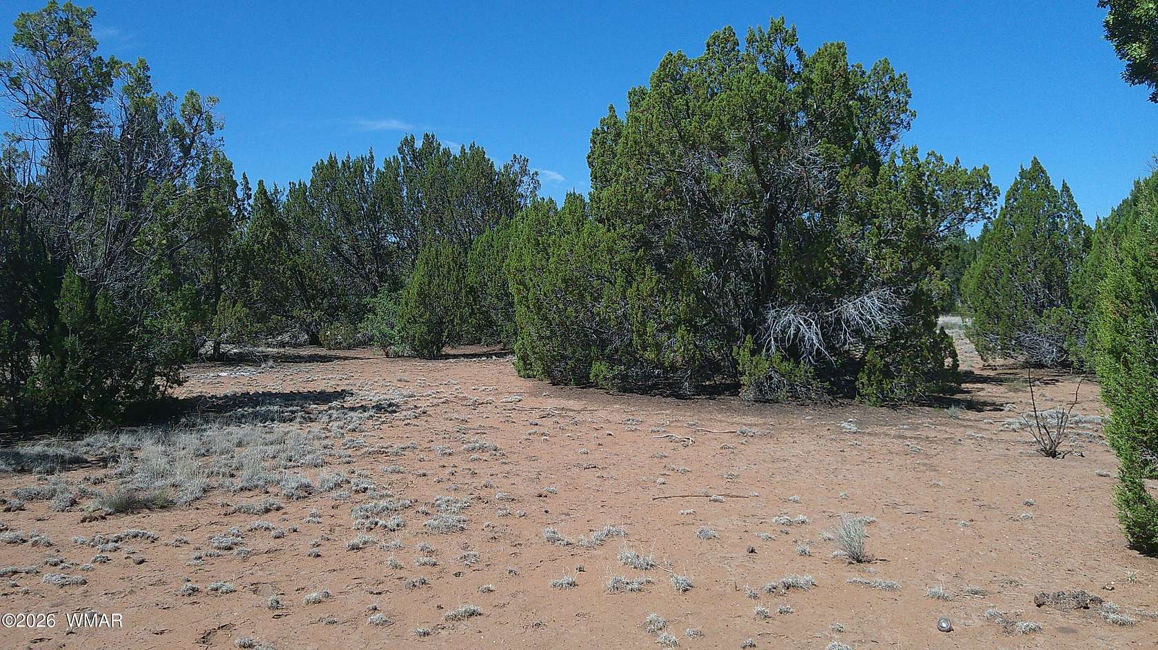 0.44 Acres of Residential Land for Sale in Concho, Arizona