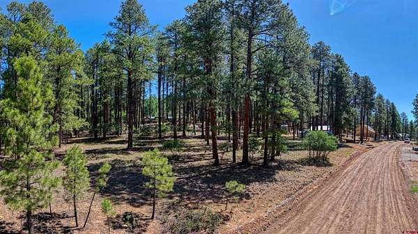 0.43 Acres of Residential Land for Sale in Bayfield, Colorado