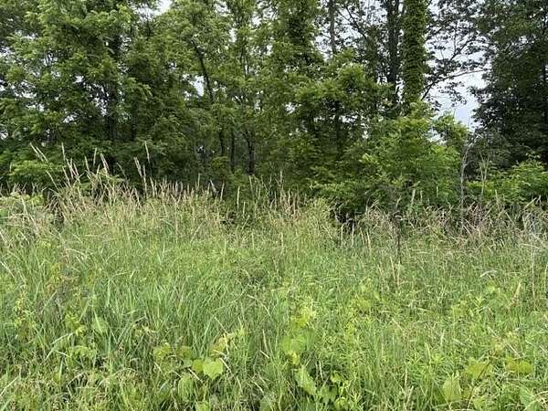 3 Acres of Residential Land for Sale in Fennville, Michigan
