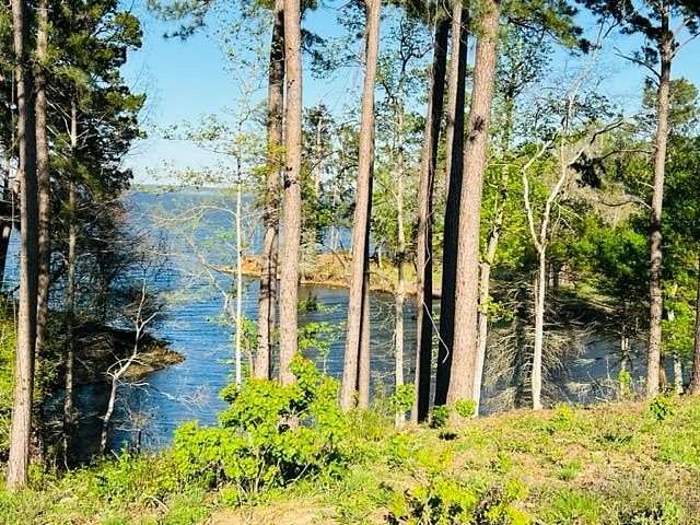 1.5 Acres of Residential Land for Sale in Milam, Texas