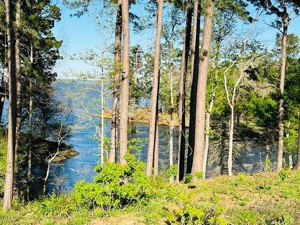 1.5 Acres of Residential Land for Sale in Milam, Texas