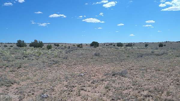 40.6 Acres of Recreational & Residential Land for Sale in Snowflake, Arizona