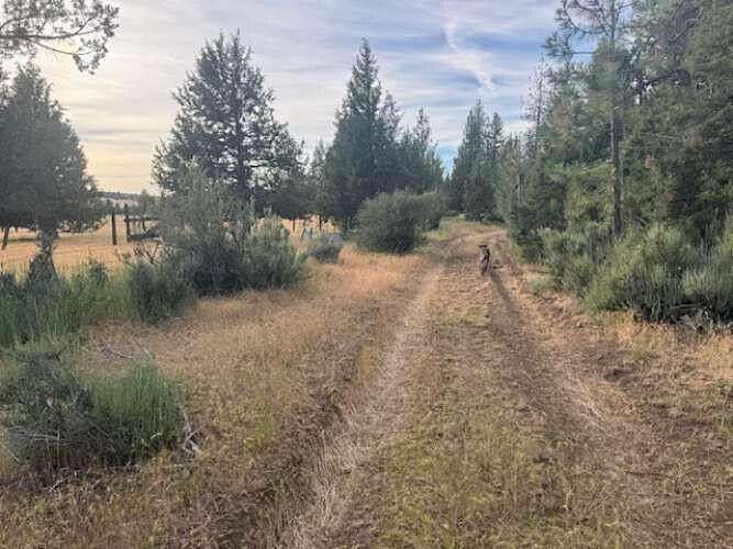 12.9 Acres of Recreational Land for Sale in Fall River Mills, California