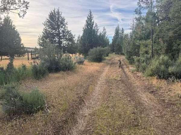 12.9 Acres of Recreational Land for Sale in Fall River Mills, California