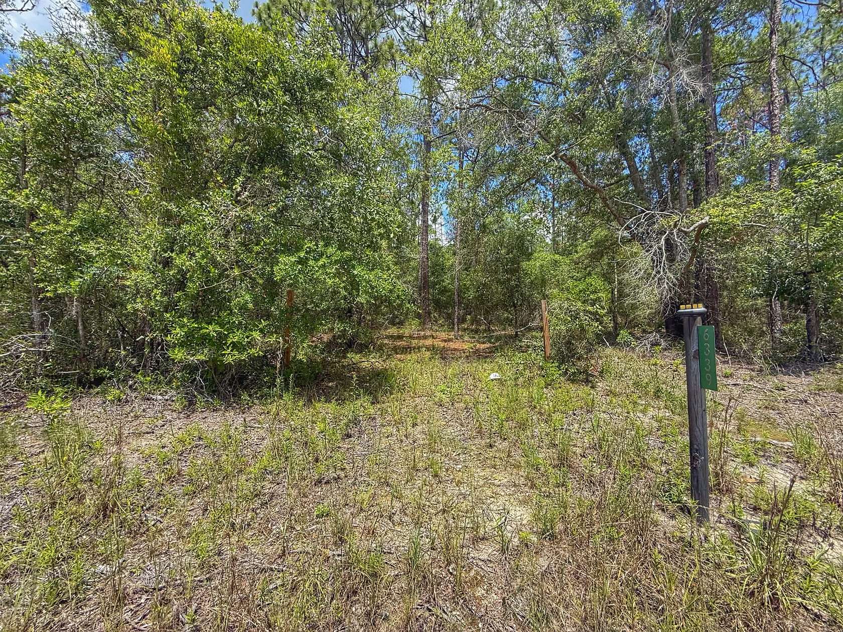 1 Acre of Residential Land for Sale in Bell, Florida