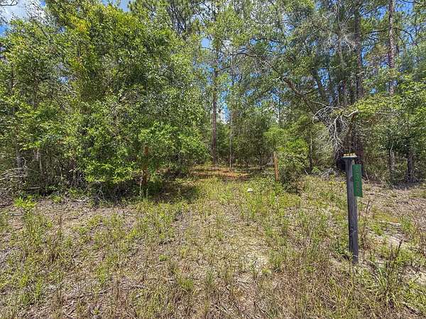 1 Acre of Residential Land for Sale in Bell, Florida