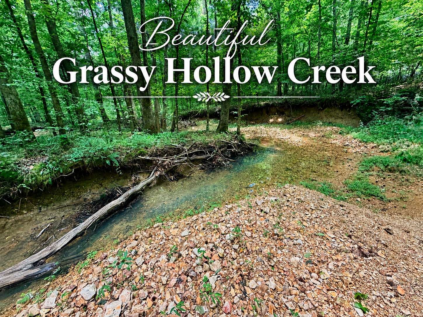 15 Acres of Land with Home for Sale in Holladay, Tennessee