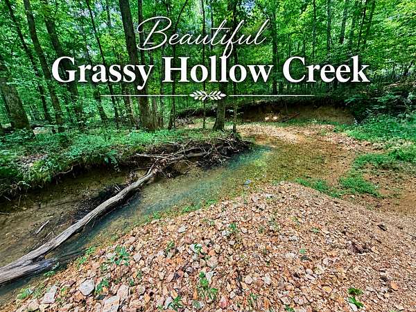 15 Acres of Land with Home for Sale in Holladay, Tennessee