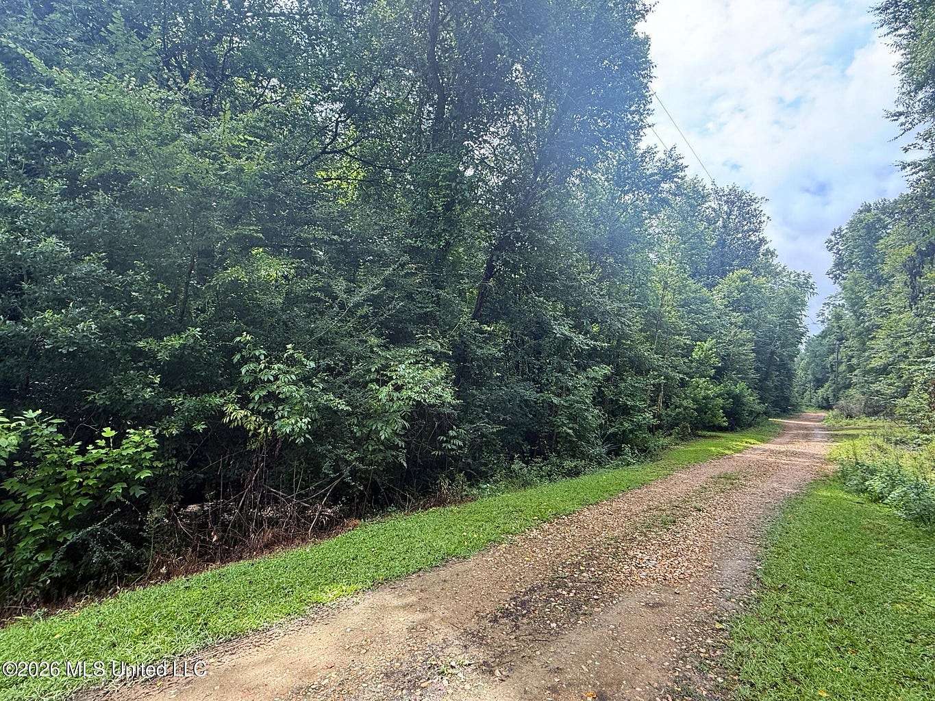 3 Acres of Residential Land for Sale in Summit, Mississippi