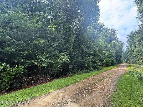 3 Acres of Residential Land for Sale in Summit, Mississippi