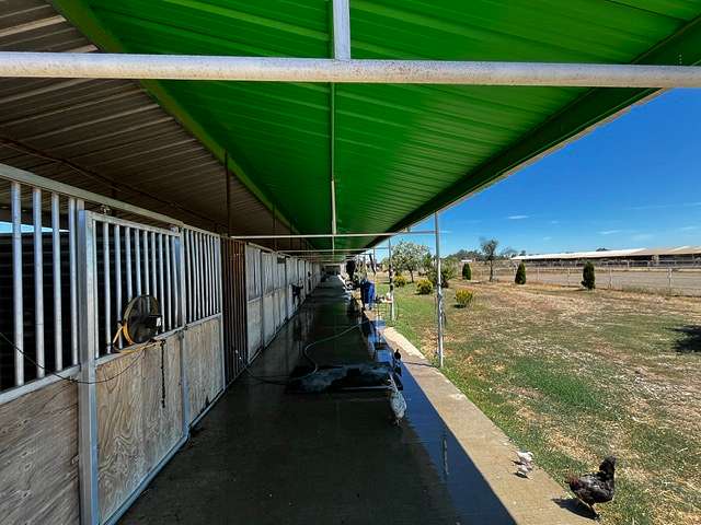 23.6 Acres of Land for Sale in Winters, California