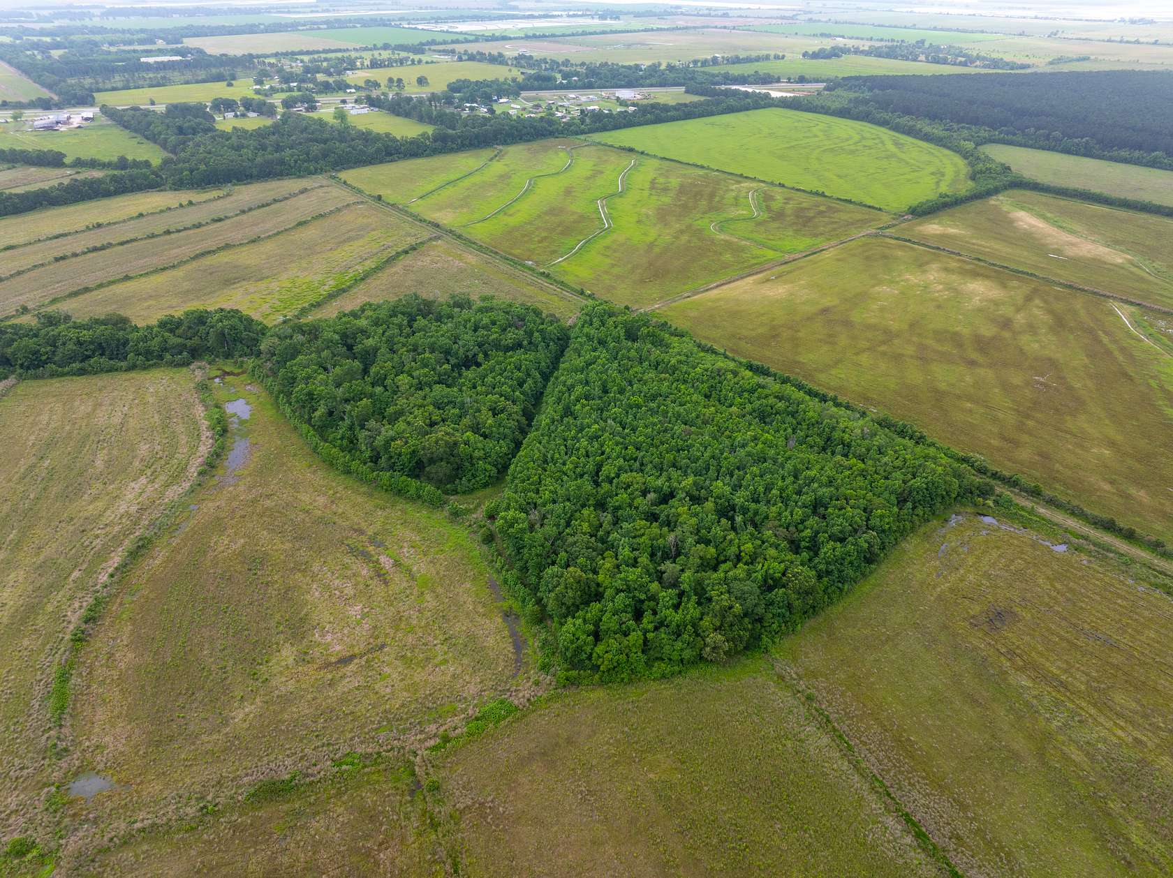 240 Acres of Agricultural Land for Sale in Kinder, Louisiana