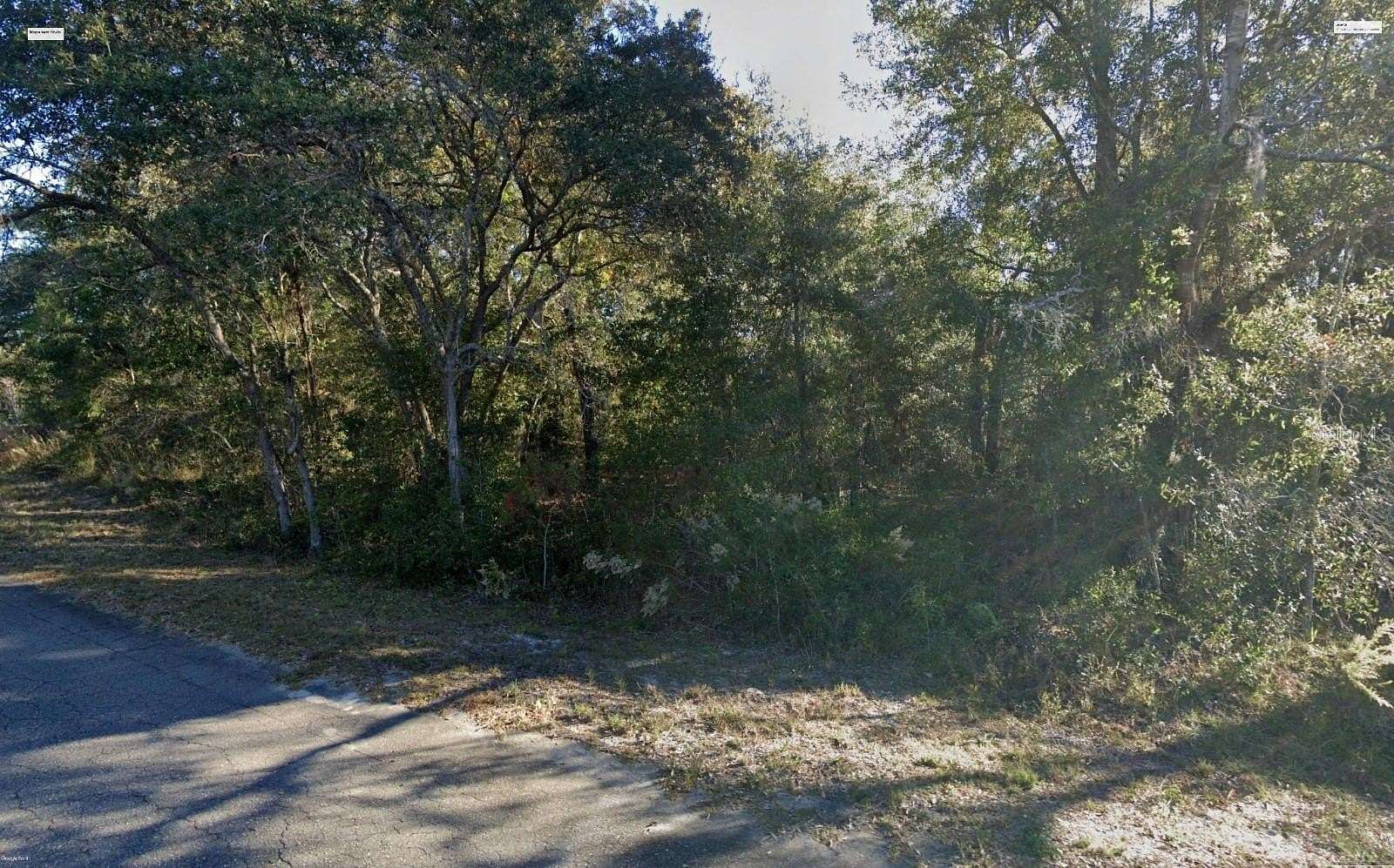0.37 Acres of Residential Land for Sale in Ocklawaha, Florida