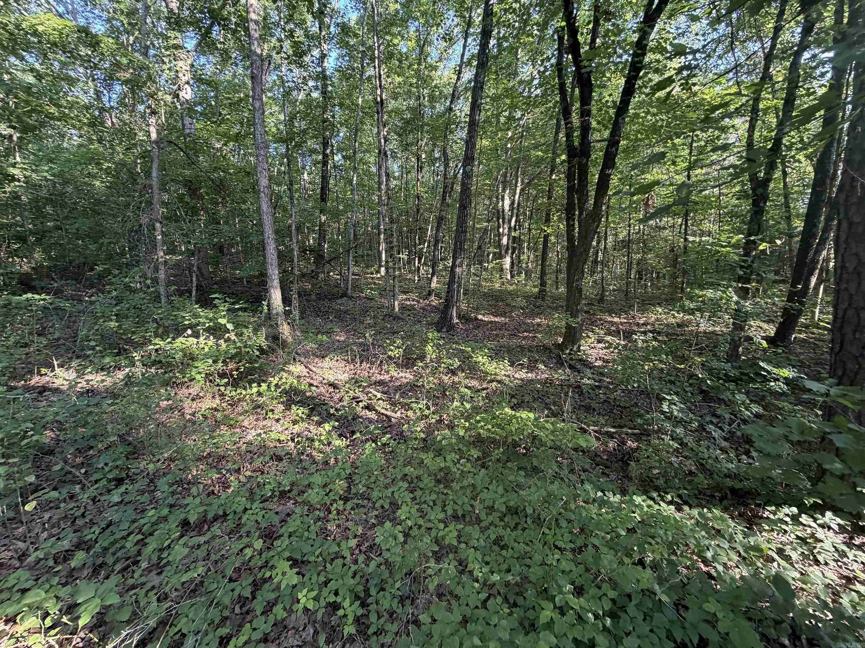 3.25 Acres of Residential Land for Sale in Clinton, Arkansas
