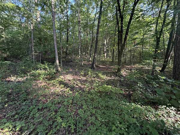 3.25 Acres of Residential Land for Sale in Clinton, Arkansas