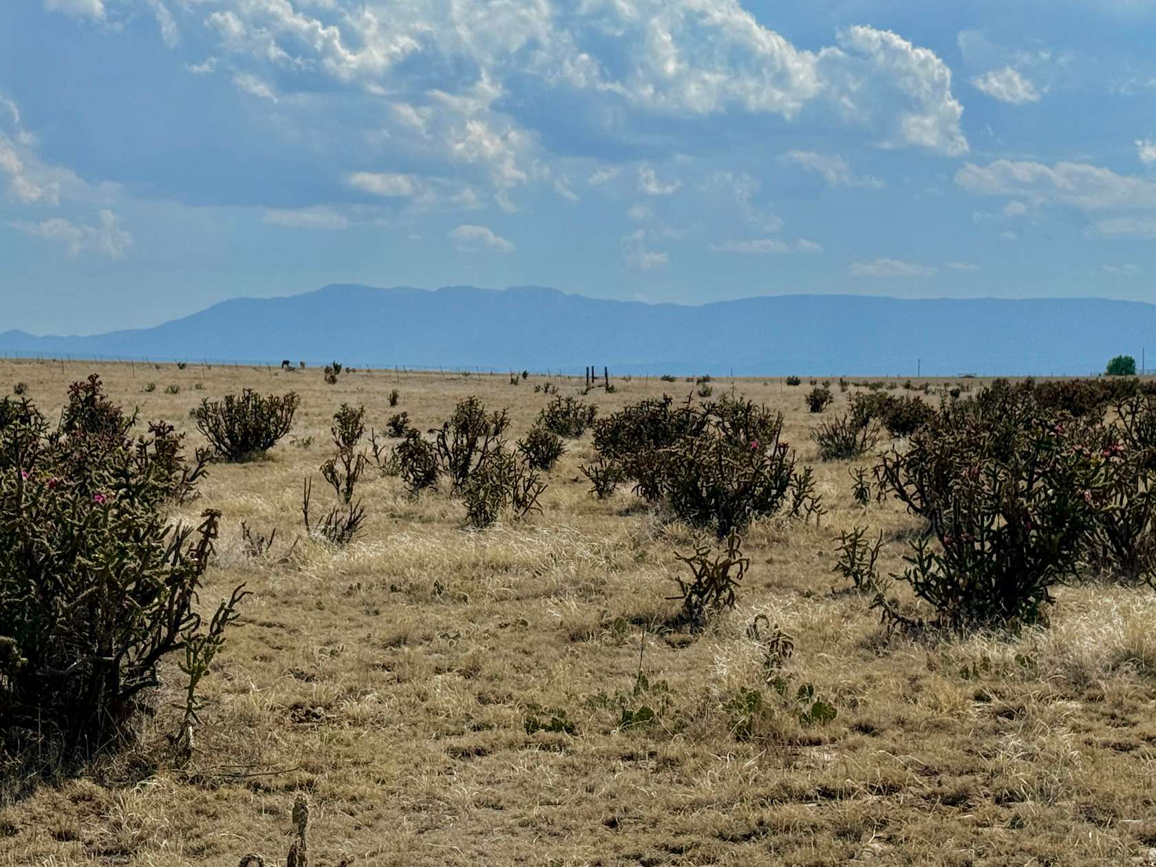 40 Acres of Land for Sale in Pueblo, Colorado