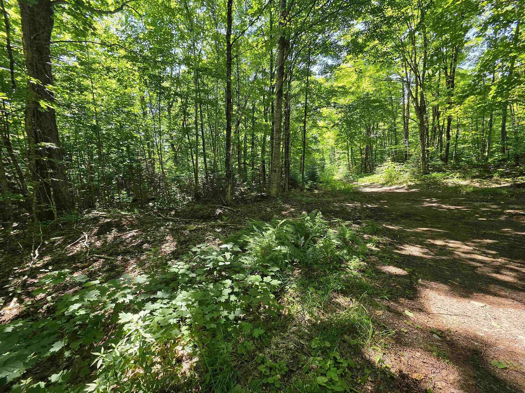 15.5 Acres of Land for Sale in Westmore, Vermont