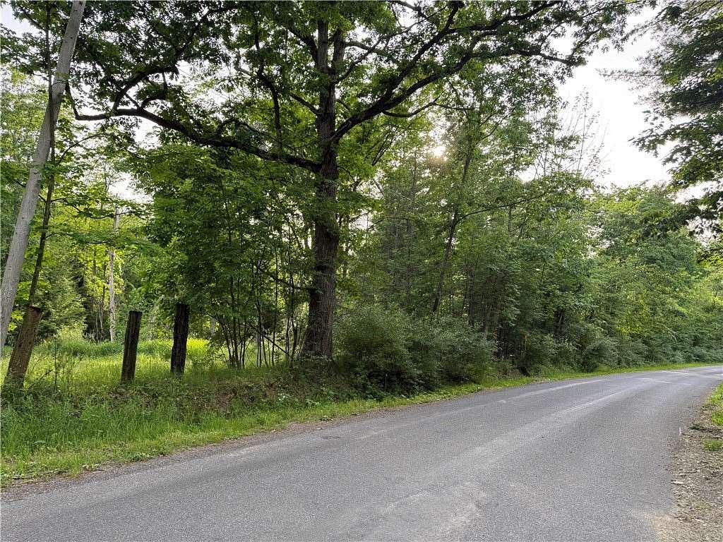 76.8 Acres of Improved Land for Sale in Fillmore, New York