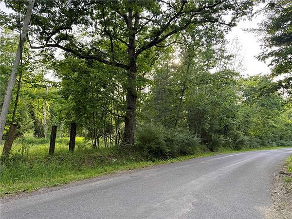76.8 Acres of Improved Land for Sale in Fillmore, New York