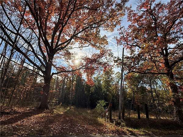 76.8 Acres of Improved Land for Sale in Fillmore, New York